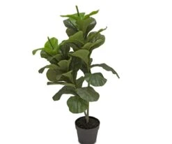 Short Potted Faux Fiddle Floor Plant -Home Decor Fashion Store 896A7896 dc028de8 8ccd 4c04 8c33 6535b5b5cec6