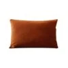 Joei Velvet Lumbar Pillow