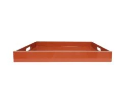 Rectangular Pop Color Tray