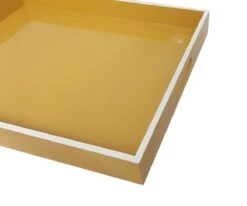 Rectangular Pop Color Tray -Home Decor Fashion Store C57 RectangularPopColorTray C57 RE35 21YE