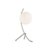 Polly Table Lamp -Home Decor Fashion Store L06 21LS 23620BN FRO upd