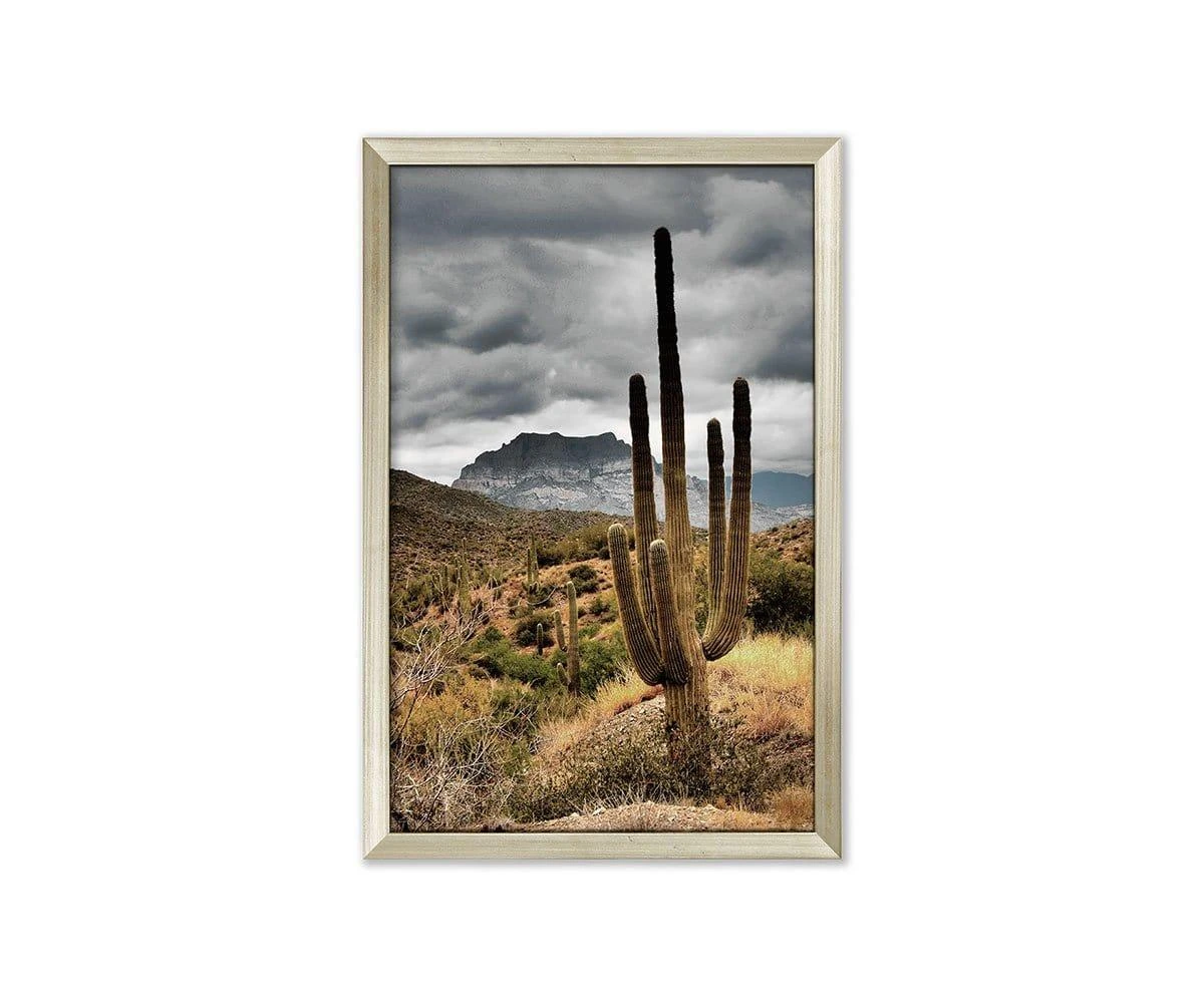 Desert Sunrise 3 Desert Sunrise