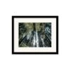 Silvery Wilds -Home Decor Fashion Store L33 Silvery Wilds
