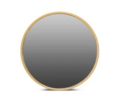 Janelle 48" Round Mirror
