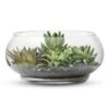 Garden Faux Succulents In Glass Bowl Terrarium