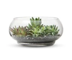 Garden Faux Succulents In Glass Bowl Terrarium