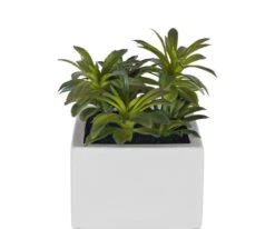Small Potted Green Faux Succulent -Home Decor Fashion Store S64 49803 003 a16a2032 8171 4528 bc8d ccd386053310