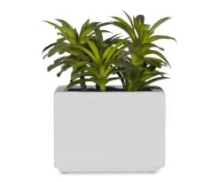 Small Potted Green Faux Succulent -Home Decor Fashion Store S64 49803 004 9ffab3d5 efb9 40dc 9f9c 5c87f533f5ce