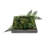 Equatorial Faux Moss -Home Decor Fashion Store S64 Equatorial Faux Moss 25DD003JJ2