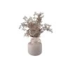 Faux Catkin Stems With Vase -Home Decor Fashion Store S64 Faux Catkin Stems with Vase 25JT236