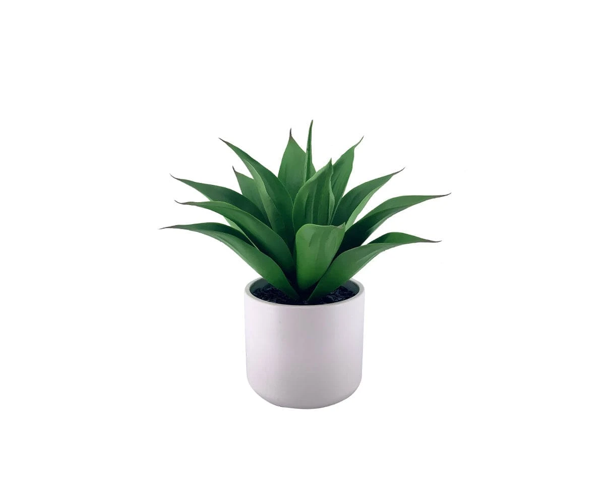 Faux Mini Agave Plant 3 Faux Mini Agave Plant