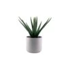 Faux Potted Aloe 1 Faux Potted Aloe -Home Decor Fashion Store S64 Faux Potted Aloe 23JC020LY1
