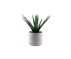 Faux Potted Aloe