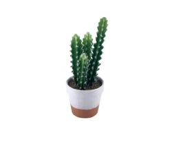 Faux Potted Cactus Trio