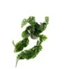 Faux Potted Climbing Monstera -Home Decor Fashion Store S64 Faux Potted Climbing Monstera 25JT235DD1