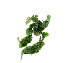Faux Potted Climbing Monstera