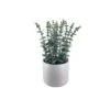 Faux Potted Eucalyptus 1 Faux Potted Eucalyptus -Home Decor Fashion Store S64 Faux Potted Eucalyptus GY2515DD1LY1