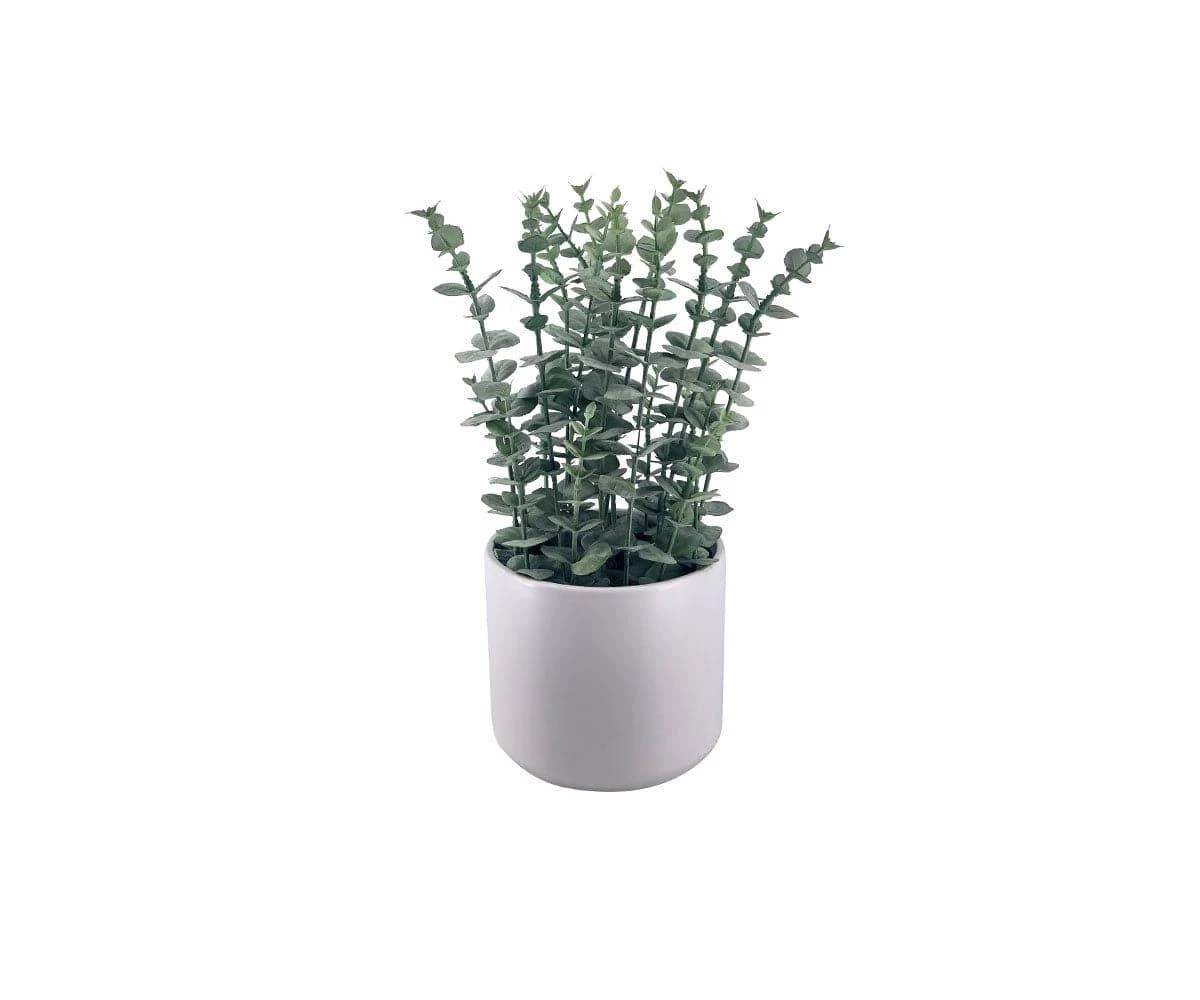 Faux Potted Eucalyptus 3 Faux Potted Eucalyptus