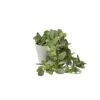 Faux Potted Fittonia -Home Decor Fashion Store S64 Faux Potted Fittonia 23JC002
