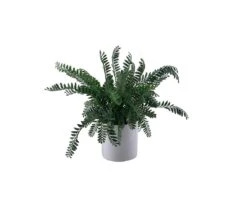 Faux Potted Forest Fern