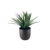 Small Potted Faux Dracaena -Home Decor Fashion Store S64 Faux Small Potted Dracaena 25JT064