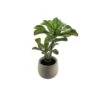 Faux Tall Succulent -Home Decor Fashion Store S64 Faux Tall Succulent 25JT225LY2