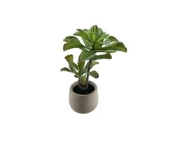Faux Tall Succulent