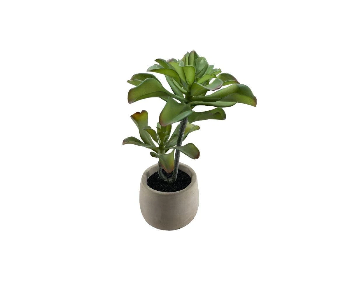 Faux Tall Succulent 3 Faux Tall Succulent