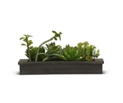 Composed Faux Succulents Wall Hanging