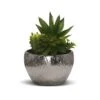 Flourishing Faux Succulents In Metallic Pot -Home Decor Fashion Store S64 GY1622 c1ab3a32 2bed 4180 a0e3 e533aa675dbf