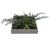 Stately Faux Moss II -Home Decor Fashion Store S64 Stately Faux Moss II 25DD003DD2JJ2